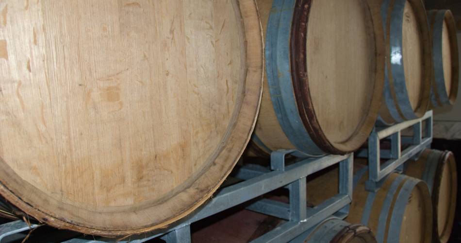 Vineyard and cellar tour - Domaine du Bramadou@Domaine du Bramadou
