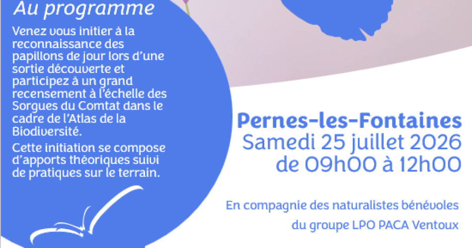 Devine qui papillonne@CASC