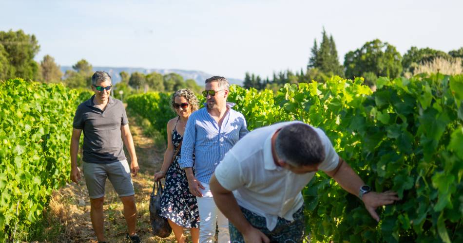 Sunsets Vignerons au Domaine TrèluS@Isle sur la Sorgue Tourisme