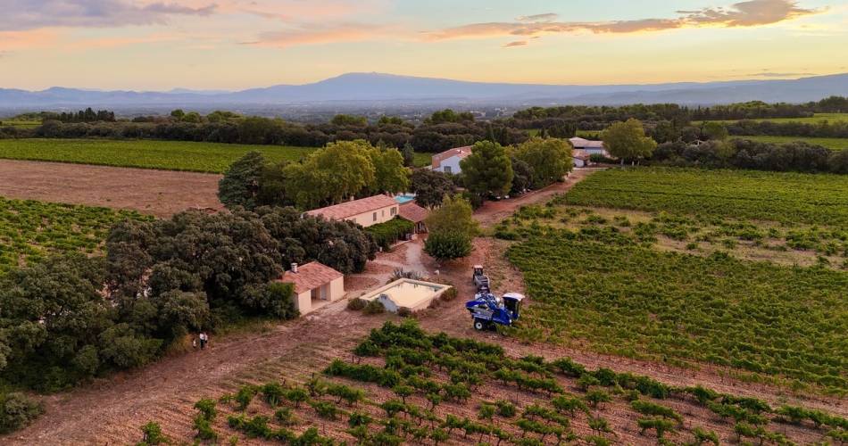 Sunsets Vigneron au Clos des Saumanes@Clos des Saumanes