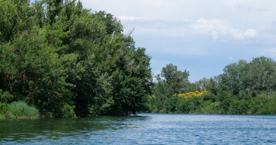 Découverte de l’île de la Barthelasse@©Olivier Tresson / Avignon Tourisme