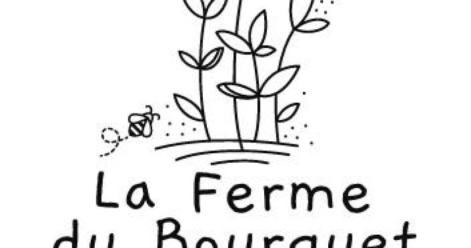 Rendez-vous Nature : Récolte de raisin de table à la Ferme du Bourguet@FB ferme du Bourguet