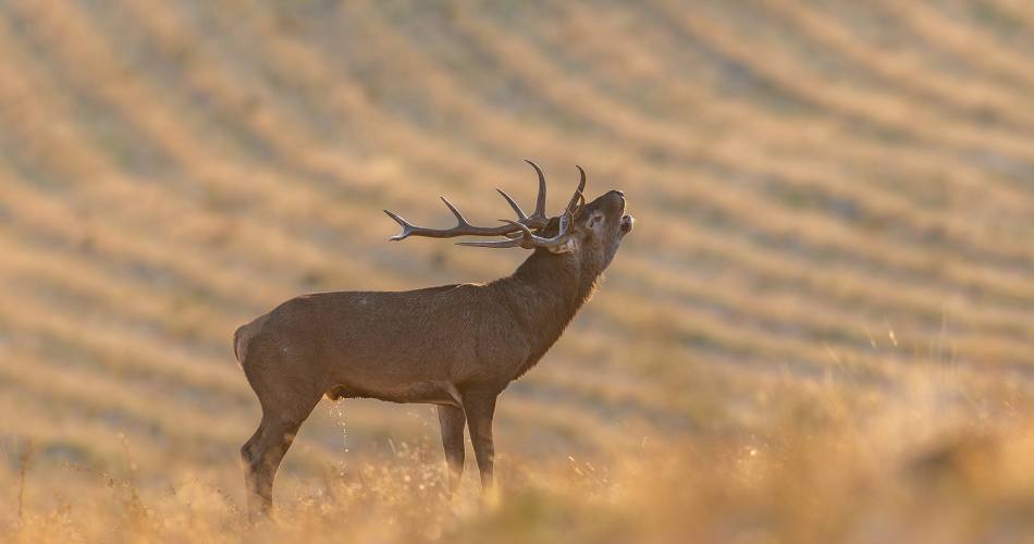 Ôkhra - Exposition en plein air du Club Photo de Saignon@Serge Truphèmus