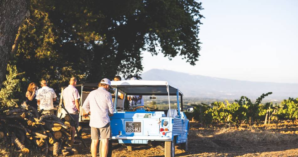 Provence Heritage Cars@© MaximeMistral
