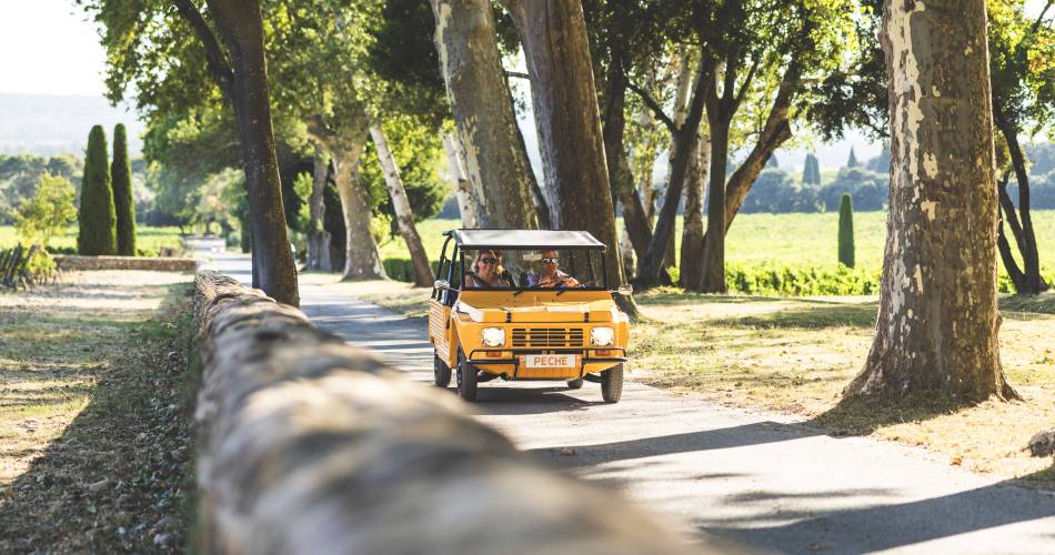 Provence Heritage Cars@© MaximeMistral