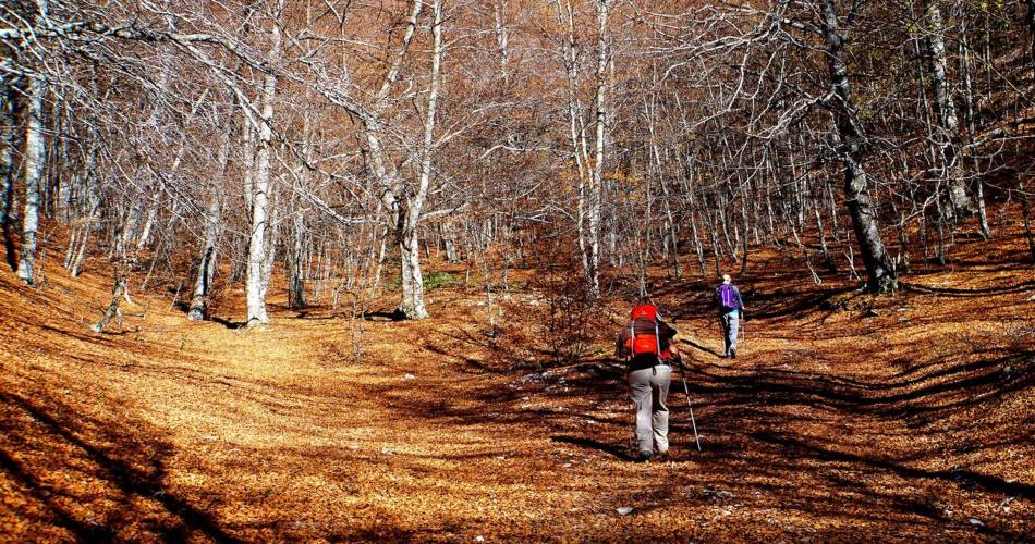 APT - Tour des ocres du Luberon en 4 jours@©DR-Peter Langereis