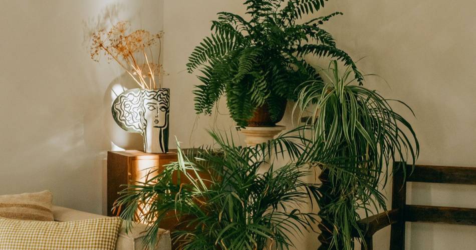 TAMARA TUNG Décoratrice d'intérieur@TAMARA TUNG