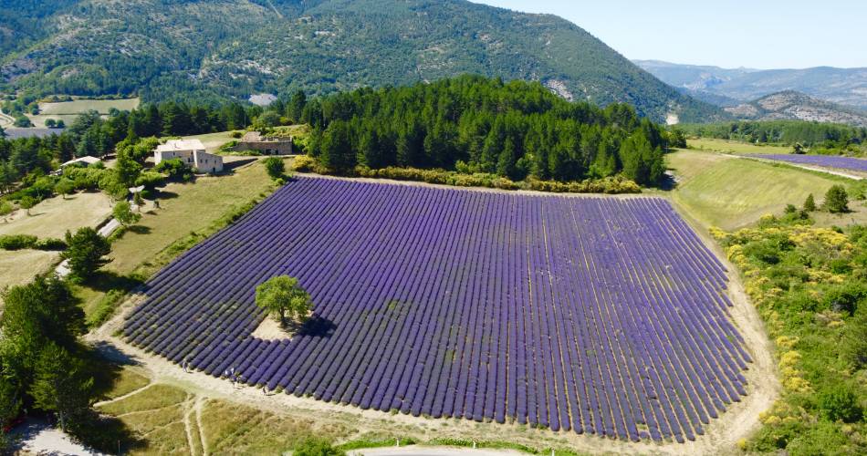 Escapade à vélo électrique autour du Ventoux – 3 jours / 2 nuits@VPA