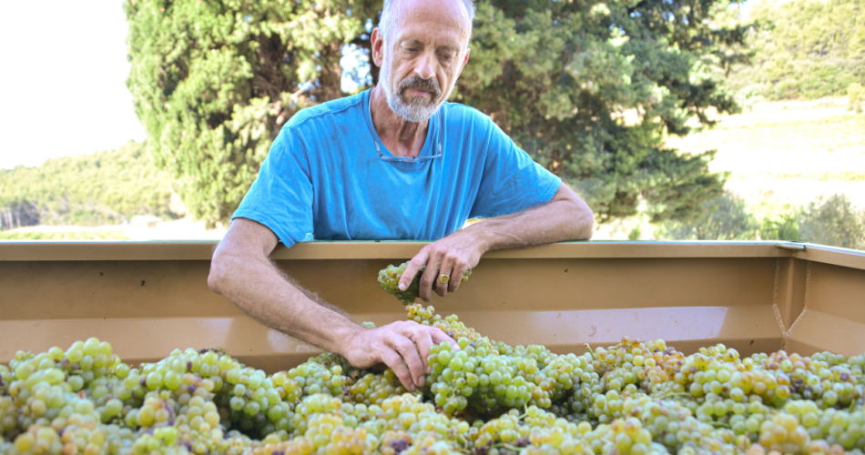 Les Supper Clubs du Clos : 50 ans de Vendanges - la Table du Vigneron@Clos de Caveau