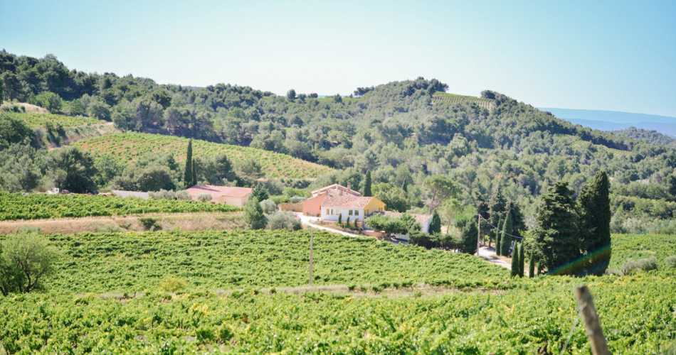 Les Supper Clubs du Clos : 50 ans de Vendanges - la Table du Vigneron@Clos de Caveau