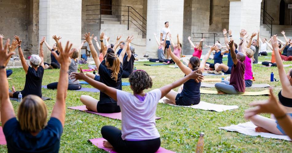 Avignon celebrates International Yoga Day!@©Dojo du centre
