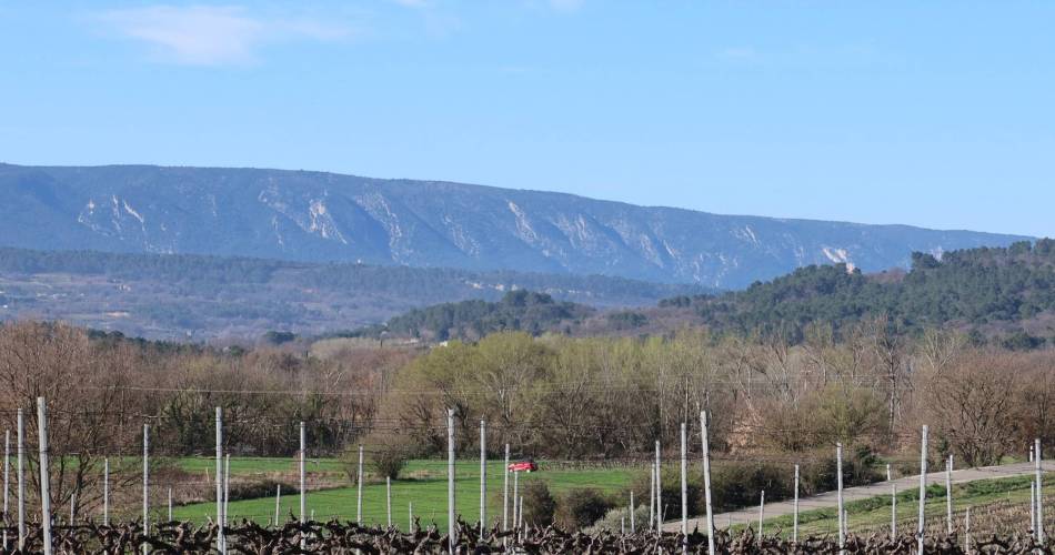 ROUSSILLON - Tour des Huguets@©Pauline Rimbert - PNR Luberon