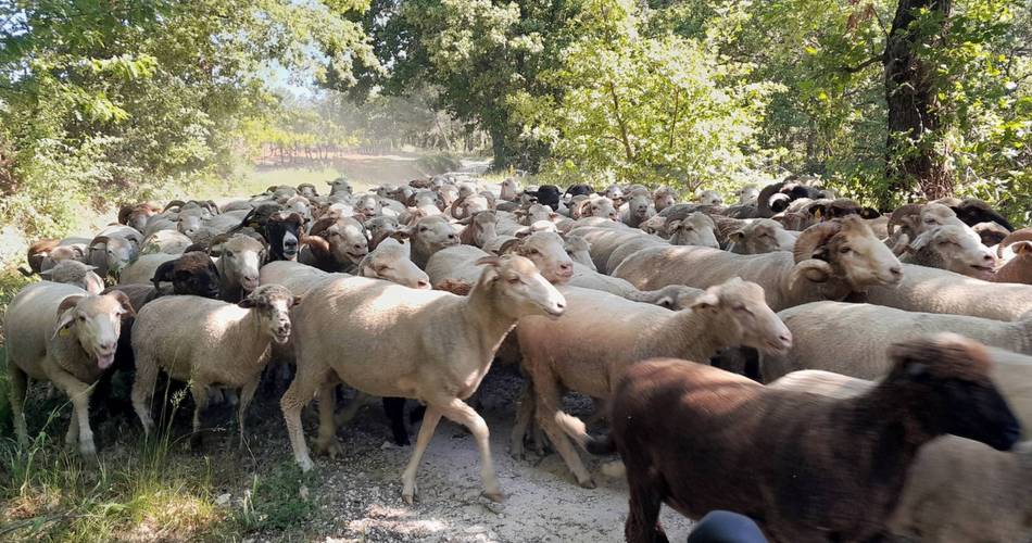 ROUSSILLON - Visite insolite des ocres@©Eric Garnier - PNR Luberon