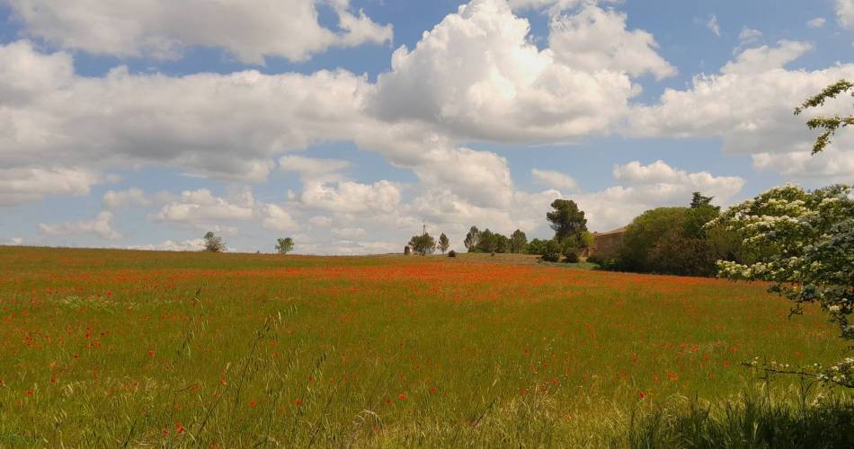 ROUSSILLON - Visite insolite des ocres@©Eric Garnier - PNR Luberon