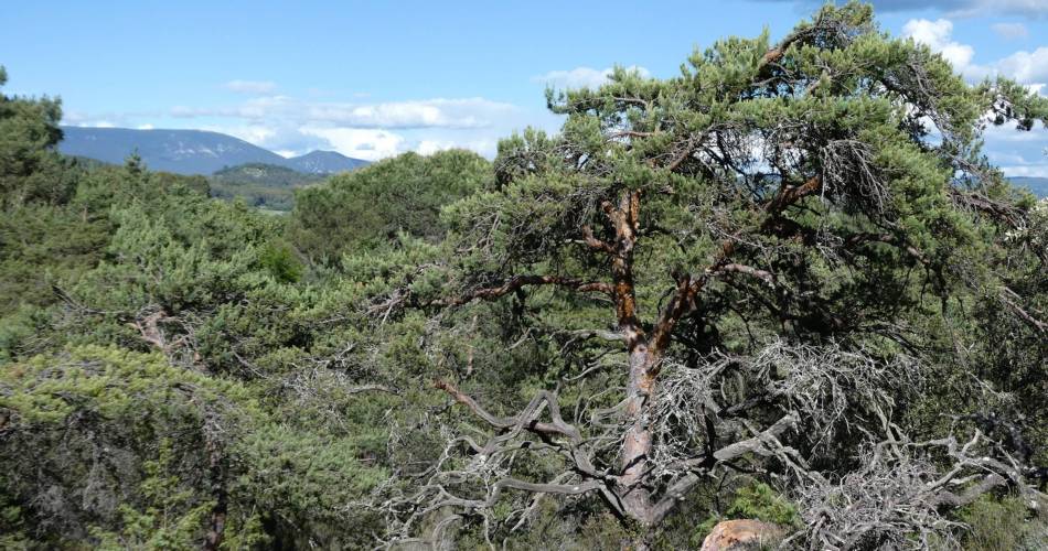 ROUSSILLON - Visite insolite des ocres@©Eric Garnier - PNR Luberon