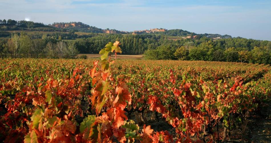 ROUSSILLON - Rando insolite@©Eric Garnier - PNR Luberon