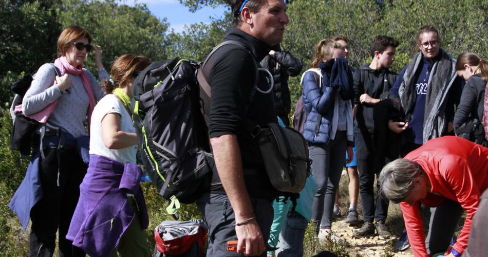 Randonnée à la découverte de la forêt et de sa biodiversité@COVE