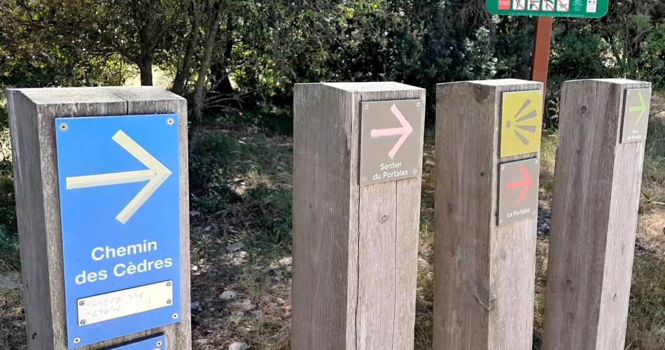 BONNIEUX - LACOSTE - Chemin des Cèdres@©Eric Garnier - PNR Luberon