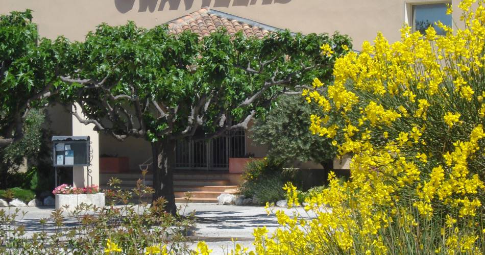 Picnic Under the Stars - Cave Le Gravillas@Cave Le Gravillas
