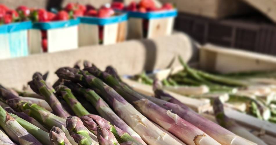 Marché de producteurs locaux@CPoirier OT Grand Avignon