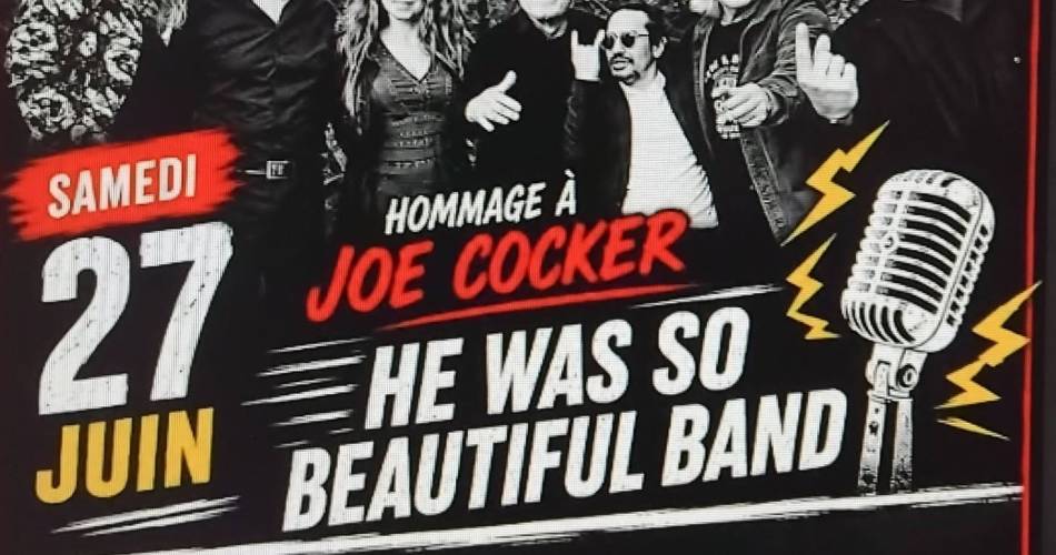 Hommage à Joe Cocker - Les Conviviales@Comité des fêtes