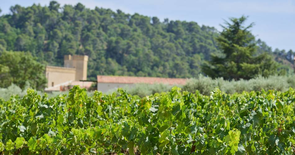 Slow Luberon – Les secrets d'un territoire d'exception@Domaine La Ferme Hi Bride