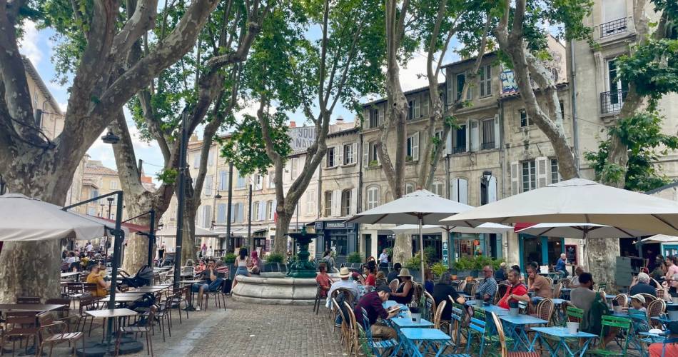 Balade commentée de la place Saint Didier à la place des Corps Saints@©Eva Nove-Josserand / Avignon Tourisme