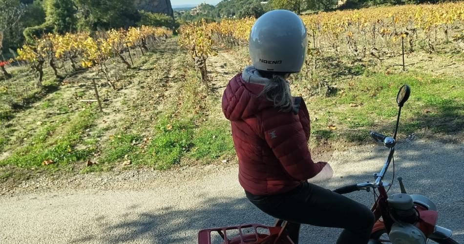 Evasion en cabane insolite, Solex vintage et saveurs gourmandes du Ventoux.@Clément Perrier