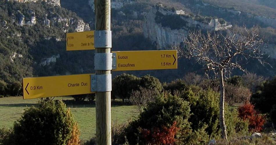 BUOUX - Tour des Ramades@©Eric Garnier - PNR Luberon