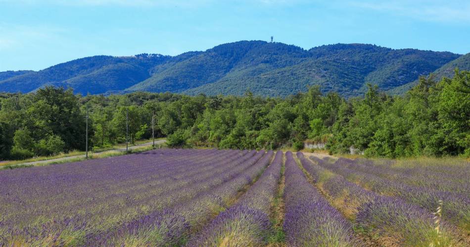 SAIGNON - Plateau des Claparèdes et sources de l'Aiguebrun@©Alain Hocquel - VPA