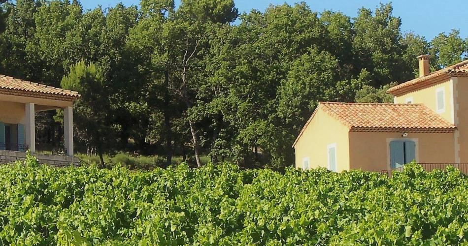 Domaine du Puy Marquis@© Domaine du Puy Marquis