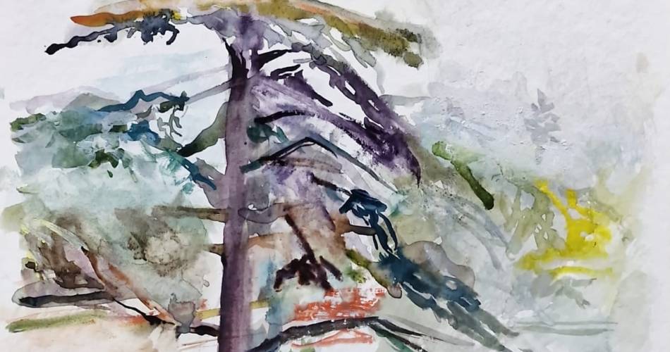 Exposition «Paysages» de Michel Steiner@Michel Steiner