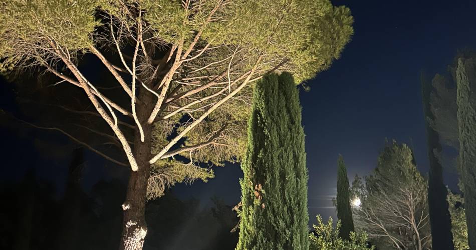 L'Atelier de Rosina@Le Jardin éclairé la nuit