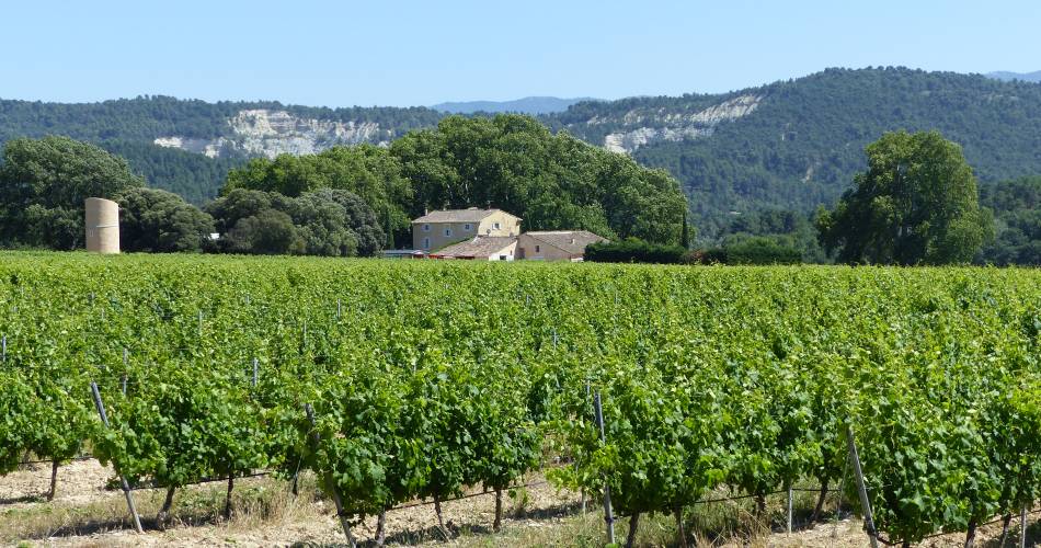 Château Grand Saint Julien@© Bertrand Reynaud