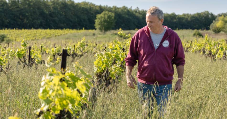 Conférence autour du vin : «le calme avant la tempête»@Pierre JAUFFRET Château Terre Forte