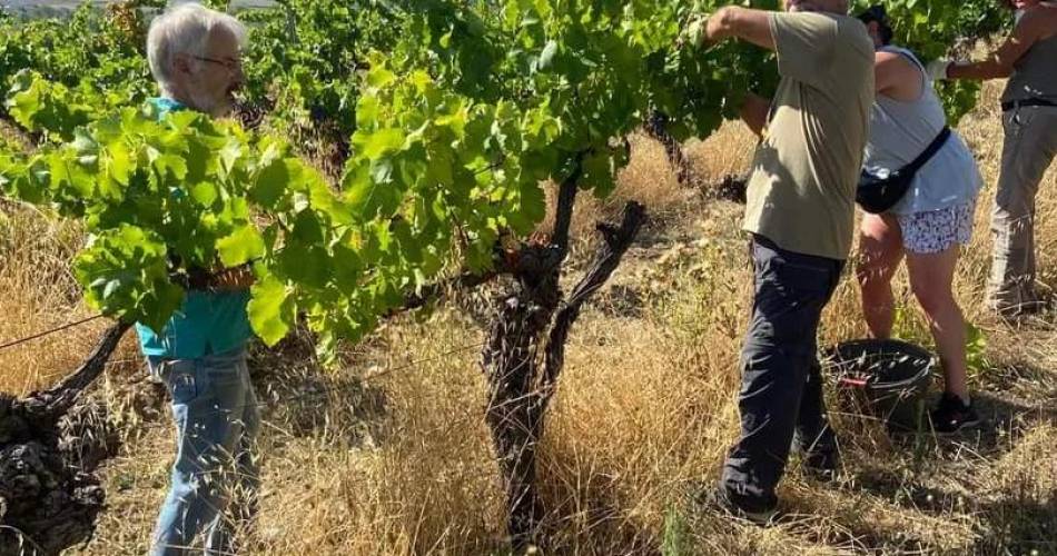 Domaine Orgâmic by Vins de copains@© Orgamic