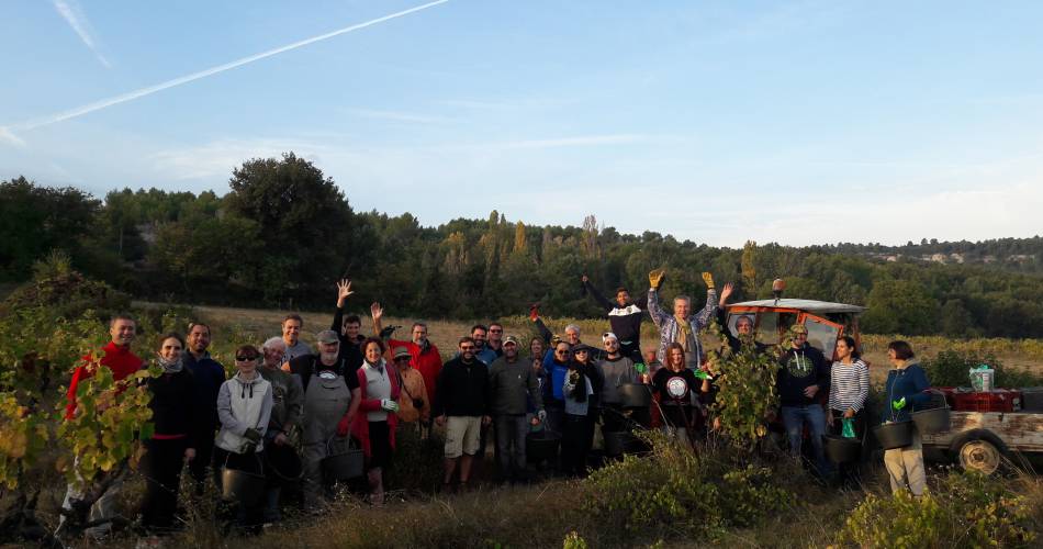 Domaine Orgâmic by Vins de copains@© Orgamic