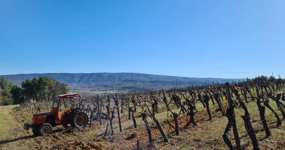 Domaine Orgâmic by Vins de copains@© Orgamic