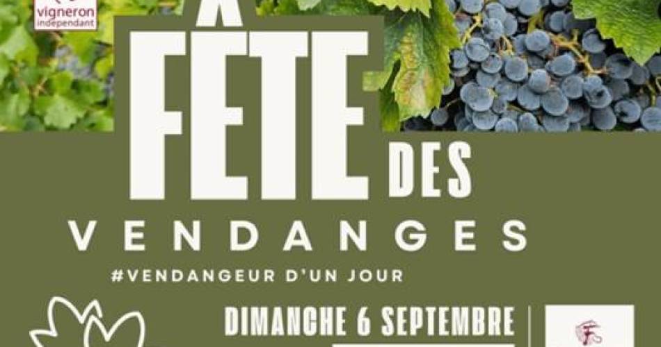 Fête des vendanges@Céline Barbaud