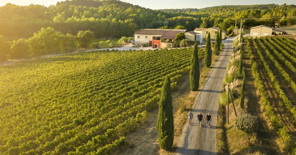 Domaine du Coulet Rouge@© Serge Chapuis