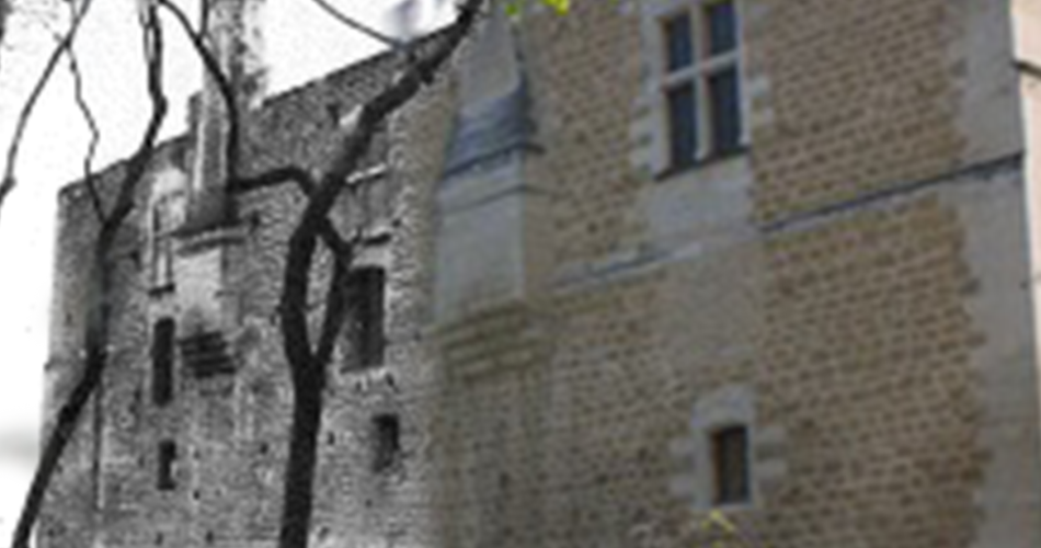 À la découverte du Château de Fargues@Mairie du Pontet