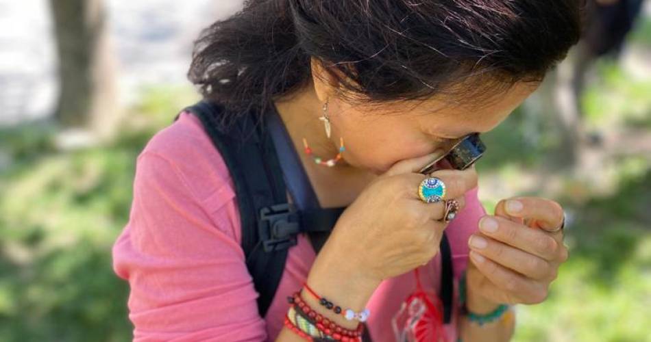 Atelier autour des plantes sauvages : balade botanique d'automne@Luz Amselle