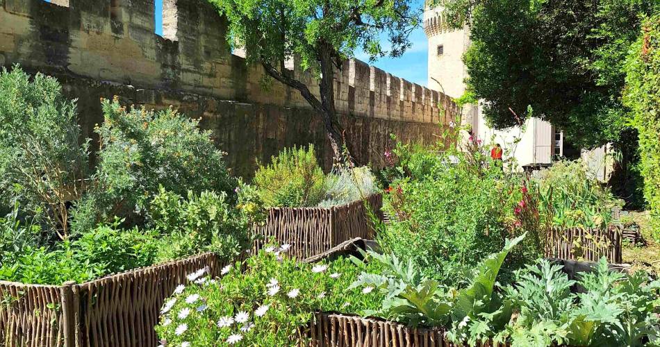 Visite d'un jardin d’inspiration médiévale@Heloïse Guigue