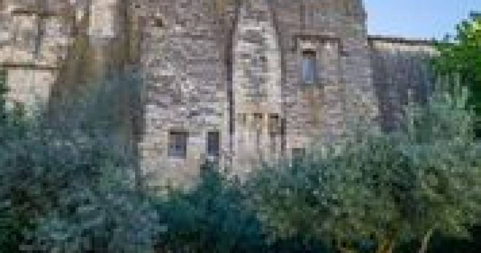 Visite guidée : histoire du palais de la Thurroye@Mairie de Villeneuve lez Avignon