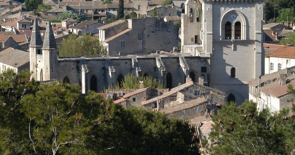 Visite libre de la collégiale Notre-Dame et son cloître@Mairie de Villeneuve lez Avignon