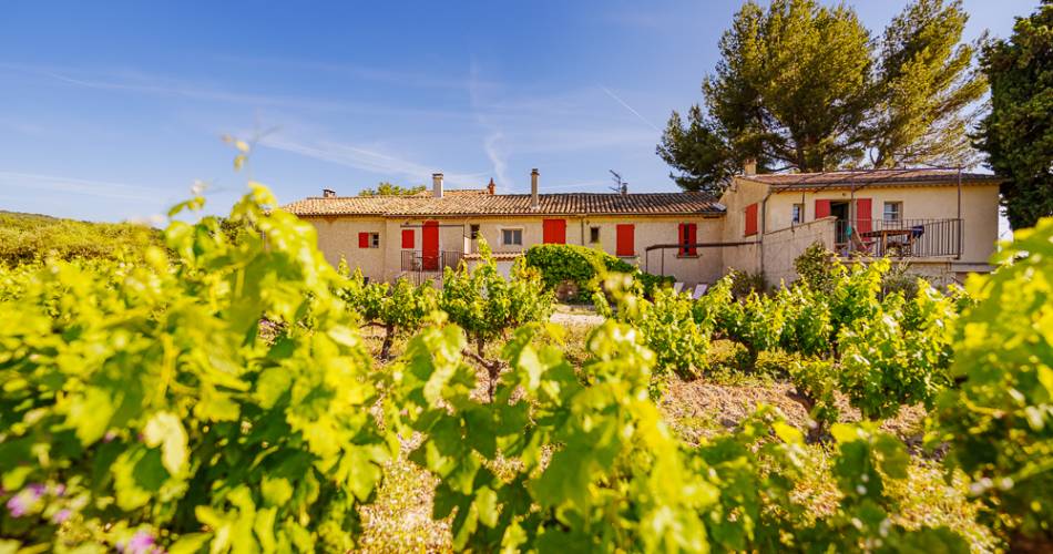 Vignobles en Scène :  De Barrique en Barrique@©-Flaccomio-WeGo-75