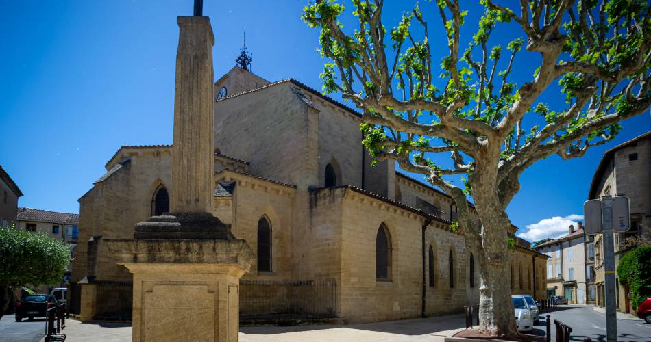 Causerie autour de l'histoire du Rhône@Jérémie Le Maoût