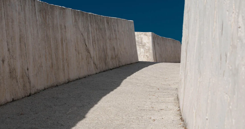 Exposition «Metamorphosis»@Alessandro Calvi