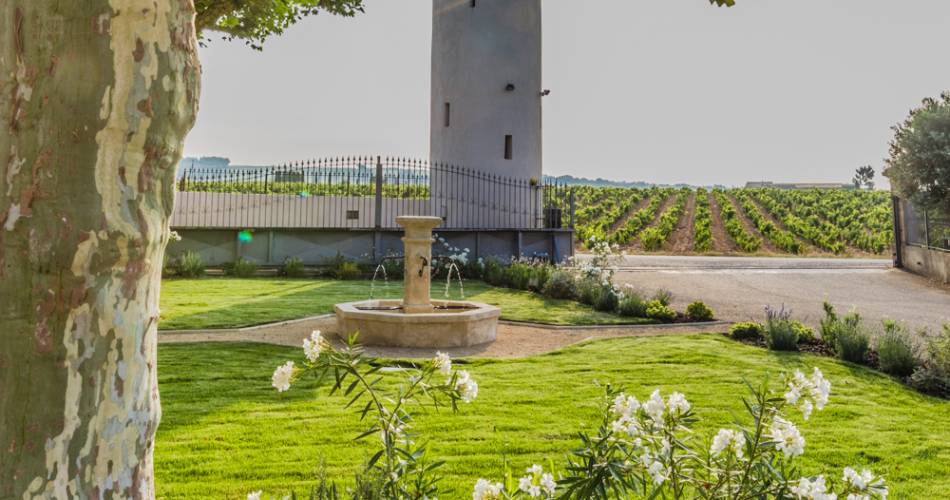 Vivez une dégustation au cœur du terroir au Domaine Tour Saint Michel@© Domaine Tour St Michel