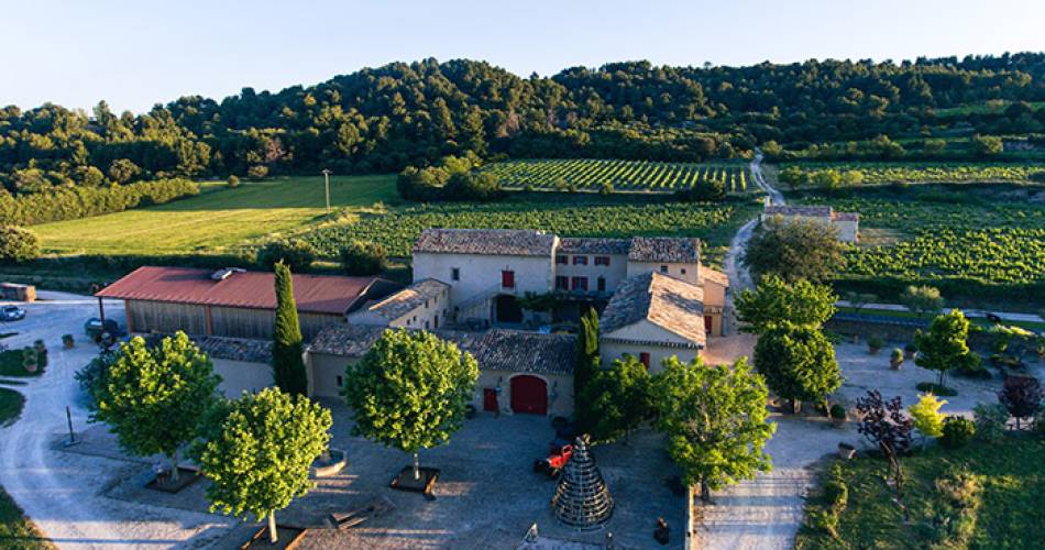Balade gourmande au coeur des vignes & des vins de l'AOP Ventoux@Destination Luberon